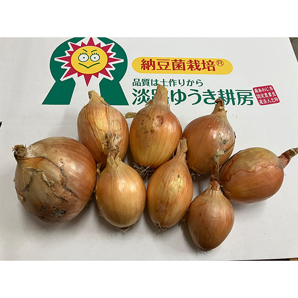 《訳あり》納豆菌栽培 淡路島産玉ねぎ 4.8kg【兵庫県淡路島産】