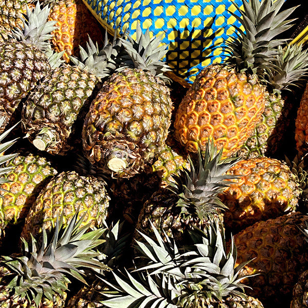 最高級ブランドパイン 沖縄やんばるゴールドバレル 3kg【沖縄県東村産】