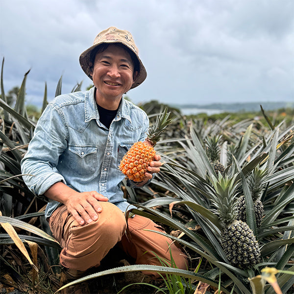 最高級ブランドパイン 沖縄やんばるゴールドバレル 3kg【沖縄県東村産】