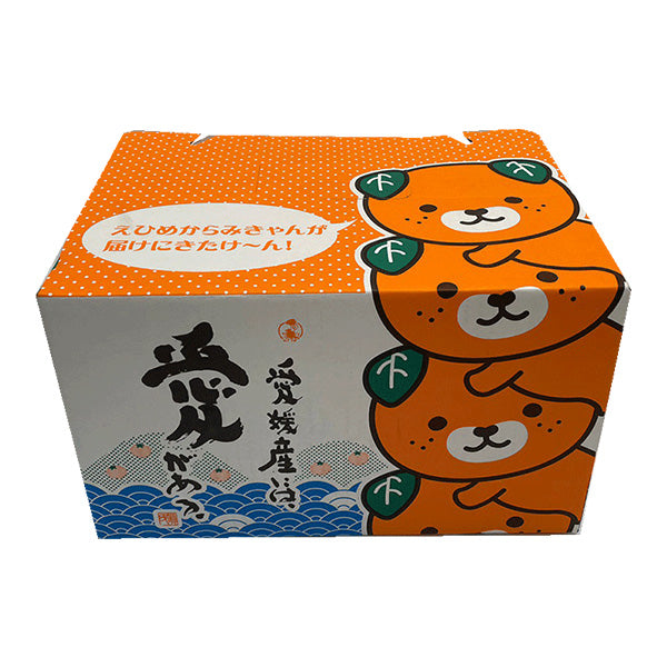 紅まどんなと同品種 愛媛まどんな あいか 2.5kg みきゃん箱入【愛媛県産】