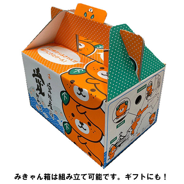 紅まどんなと同品種 愛媛まどんな あいか 2.5kg みきゃん箱入【愛媛県産】