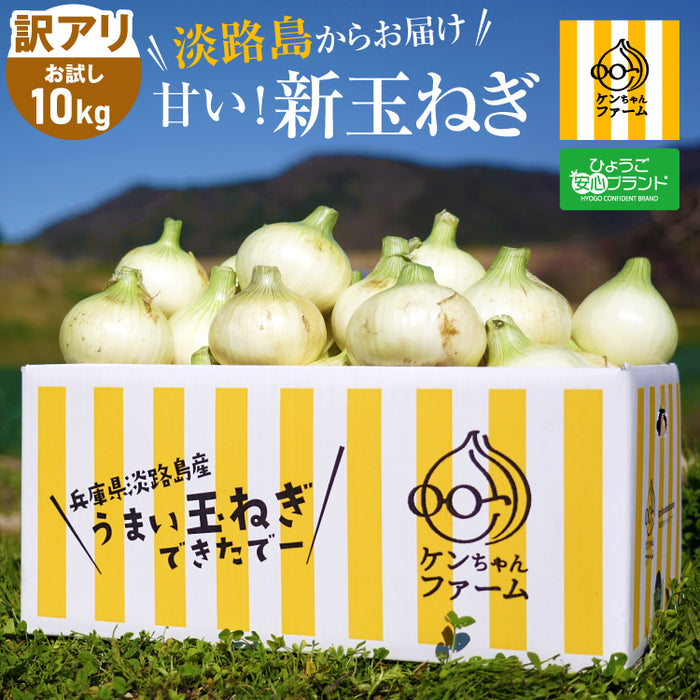 《訳あり》ひょうご安心ブランド認証 淡路島新たまねぎ 10kg【兵庫県淡路島産】