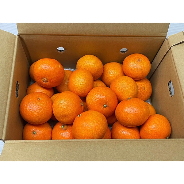 紅まどんなと同品種 愛媛まどんな あいか 2.5kg みきゃん箱入【愛媛県産】