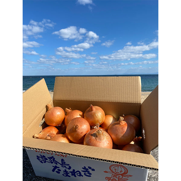 《訳あり》淡路島『歩』玉ねぎ 10kg【兵庫県淡路島産】
