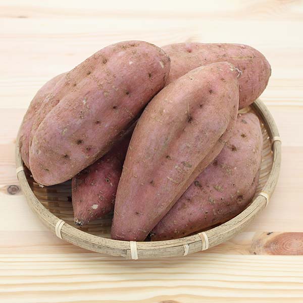 《予約販売》蜜たっぷり、濃厚な甘さ!とろける美味しさの安納紅 10㎏【鹿児島県種子島産】