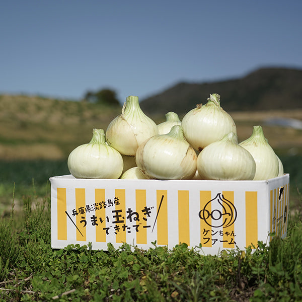 ひょうご安心ブランド認証 淡路島新たまねぎ 3kg【兵庫県淡路島産】