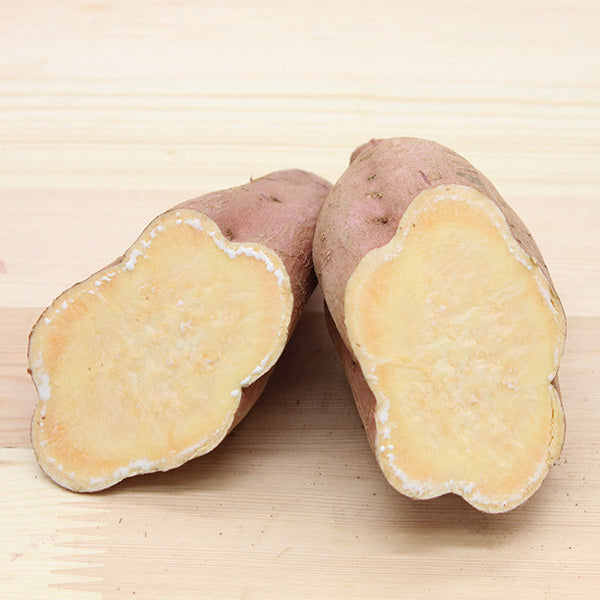 《予約販売》蜜たっぷり、濃厚な甘さ!とろける美味しさの安納紅 5㎏【鹿児島県種子島産】