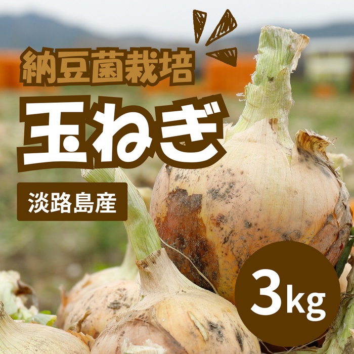 納豆菌栽培 淡路島産玉ねぎ 3kg【兵庫県淡路島産】