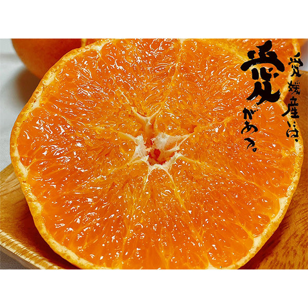 《訳あり》高級贈答みかん 甘平 2Lサイズ 5kg【愛媛県産】