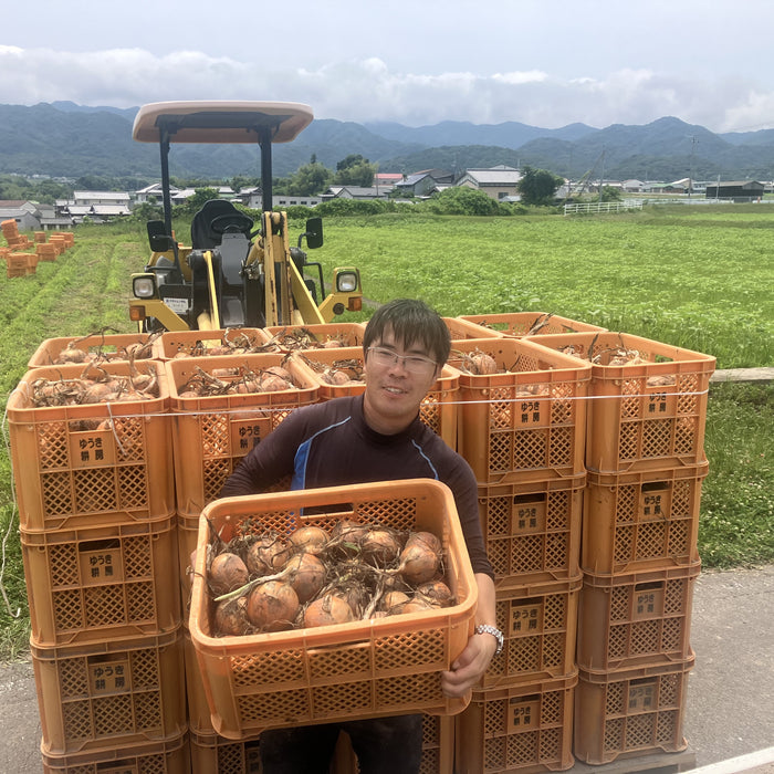 納豆菌栽培 淡路島産玉ねぎ 19.8kg【兵庫県淡路島産】