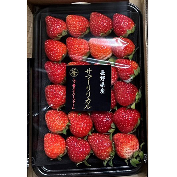 人気抜群の長野県オリジナル夏いちご サマーリリカル 200g×4【長野県富士見産】