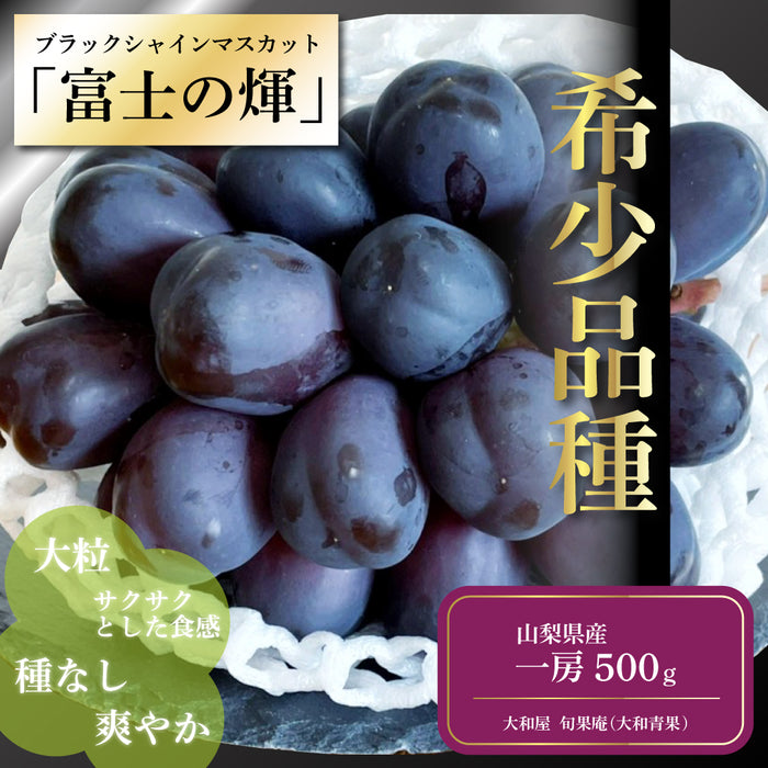 《イッテQ!で紹介されました》ブラックシャインマスカット「富士の輝」500g×1房【山梨県産】