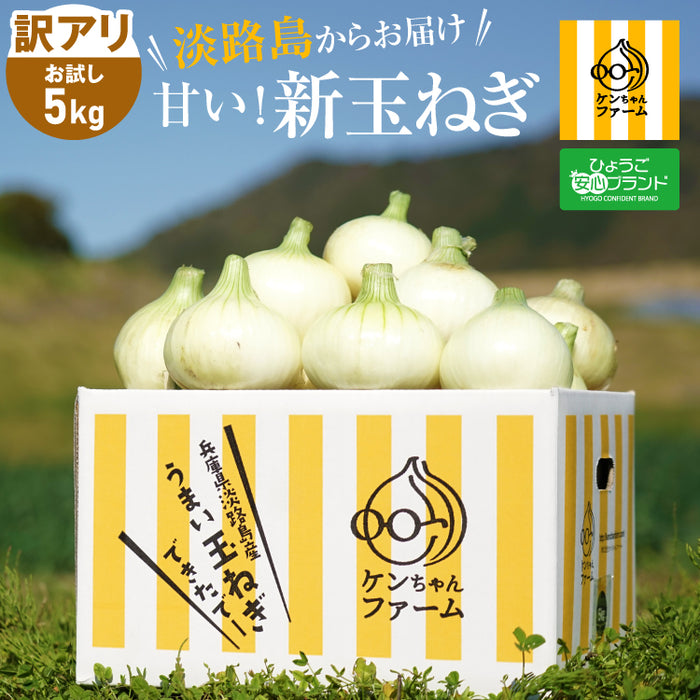 《訳あり》ひょうご安心ブランド認証 淡路島新たまねぎ 5kg【兵庫県淡路島産】