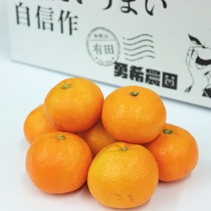 日々、真剣勝負のみかん農家が育てた 有田みかん 3kg(Mサイズ)【和歌山県有田産】