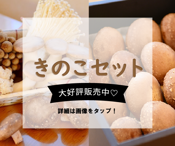 栄農人きのこセット