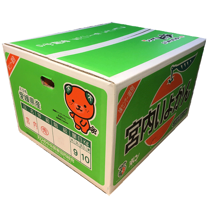 はじける香り 果汁たっぷり 愛媛の誇る極上品! 宮内伊予柑 秀 2L 10kg【愛媛県松山産】