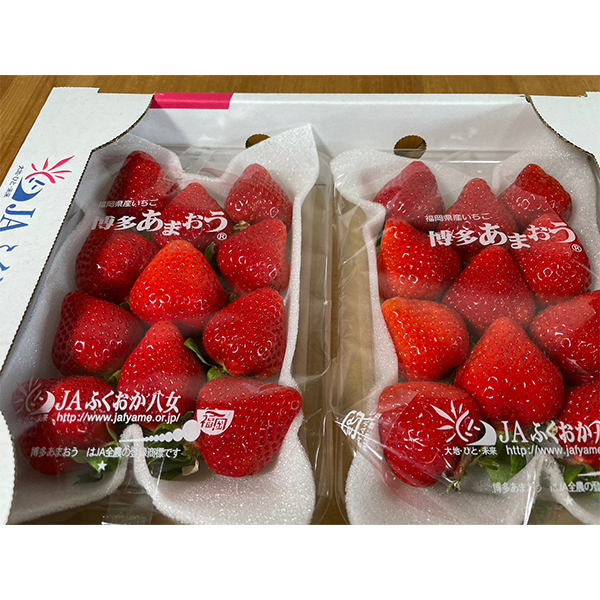 濃厚な甘味で一度食べたら忘れられない大粒苺 あまおう  秀品 2パック【福岡県博多産】