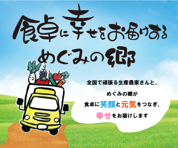 農産物直売所めぐみの郷