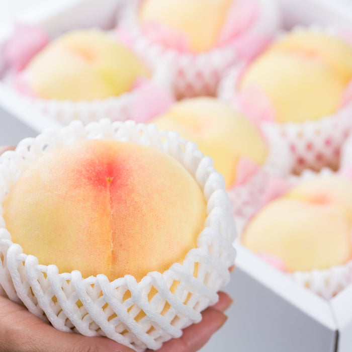 《ご自宅用》くだもの王国おかやまの甘さが広がる白桃 1kg【岡山県倉敷産】