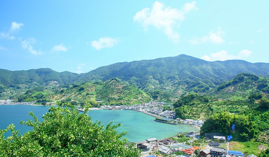 【愛媛県宇和島産】フレッシュつちやまイメージ画像