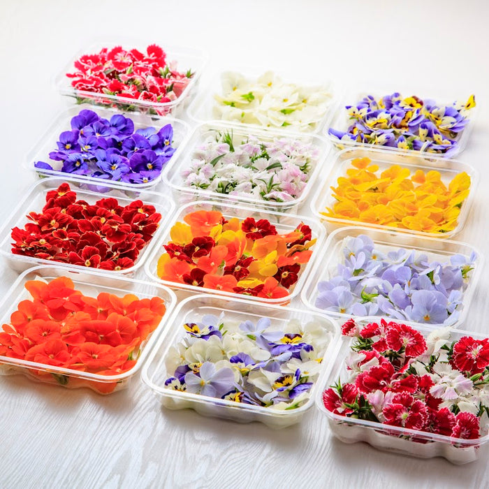 【エディブルフラワー】ビオラ＆ナデシコで作る華やかレシピ10選｜バラや桜の食用花アレンジも楽しめる