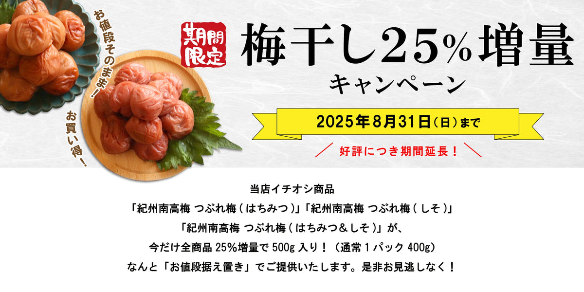 小粒【訳あり】しそ梅干し1kg×2個 紀州南高梅 和歌山県産 農家直送 送料無料 訳あり 梅干し しそ漬け 梅 1kg×2 大粒 訳アリ 大容量