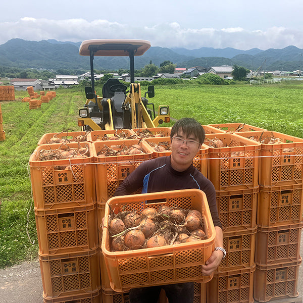 納豆菌栽培 淡路島産新玉ねぎ 1.8kg【兵庫県淡路島産】