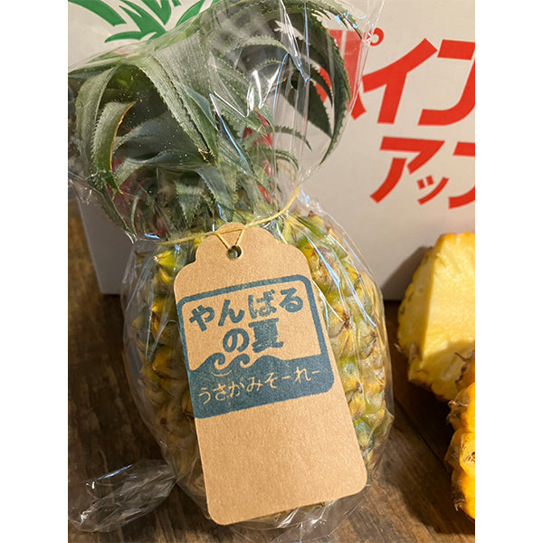 沖縄やんばるスナックパイン　2.5kg【沖縄県東村産】