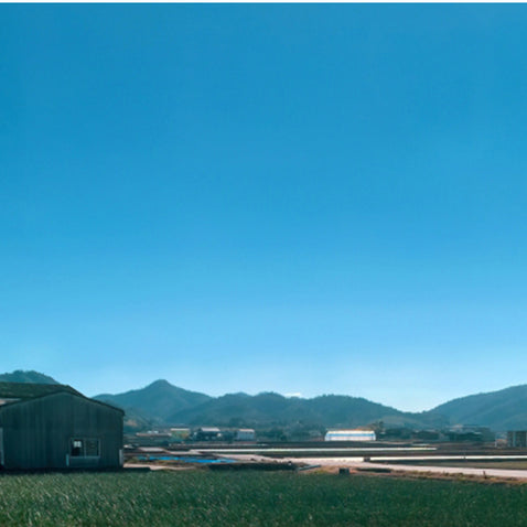 納豆菌栽培 淡路島産玉ねぎ 3kg【兵庫県淡路島産】