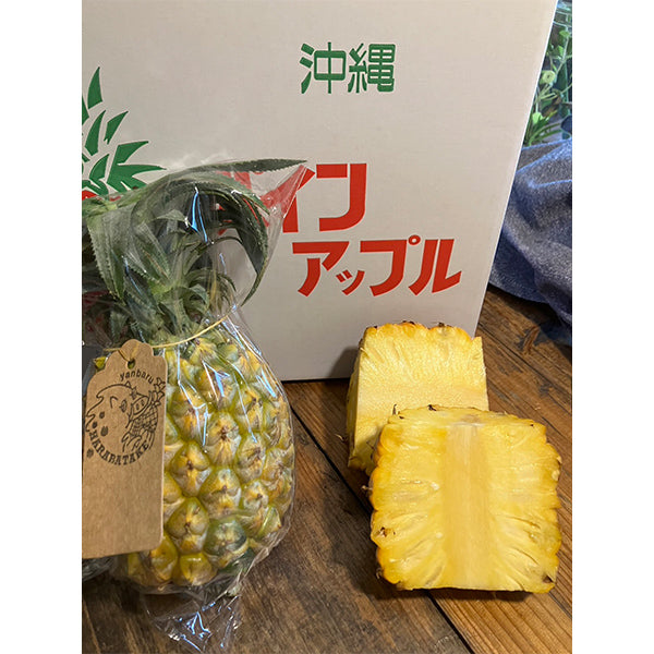 沖縄やんばるスナックパイン　2.5kg【沖縄県東村産】