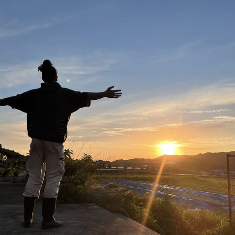 淡路島玉ねぎ “いくたま”10kg【兵庫県淡路島産】