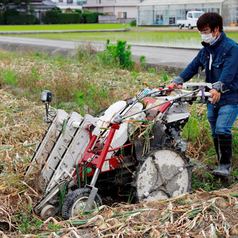 納豆菌栽培 淡路島産玉ねぎ 3kg【兵庫県淡路島産】