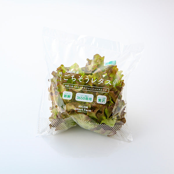 サラダが華やぐ ごちそうレタス 8袋【大阪府泉佐野産】