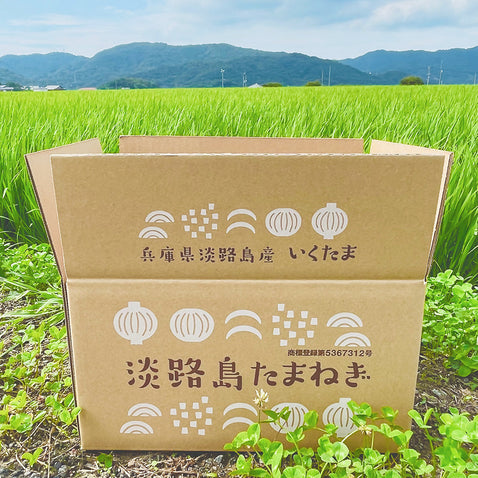 淡路島玉ねぎ “いくたま”10kg【兵庫県淡路島産】