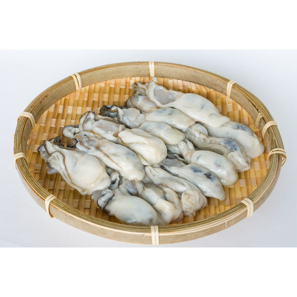 瀬戸内の恵みを一口に！濃厚な旨みが詰まった殻付き真牡蠣 3kg　牡蛎ナイフ＆軍手付【兵庫県播磨灘産】