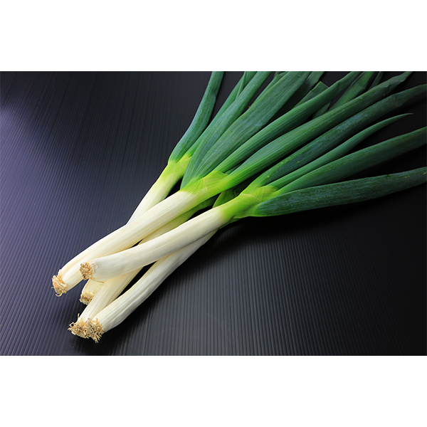 11/23解禁》肉厚で甘くて軟らかい岩津ねぎ 1kg【兵庫県朝来産】農産物 11/23解禁》肉厚で甘くて軟らかい岩津ねぎ 1kg【兵庫県朝来産】農産物
