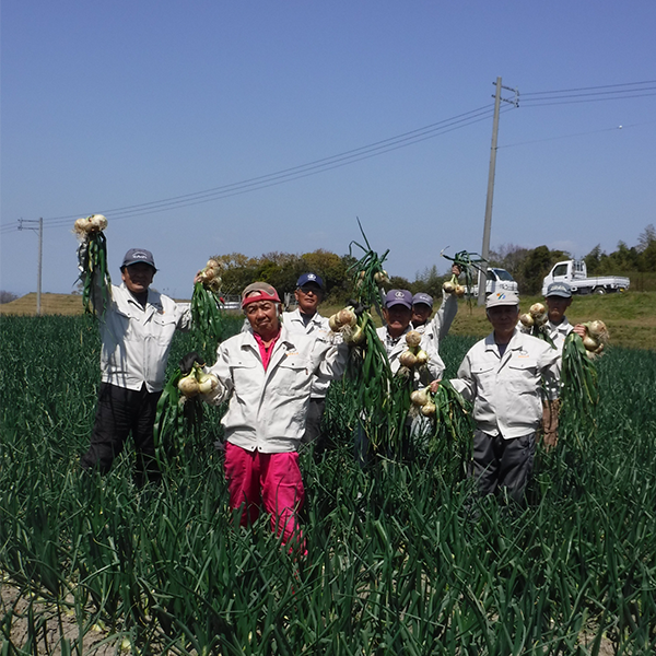 淡路島 五斗長新玉ねぎ【兵庫県淡路市】