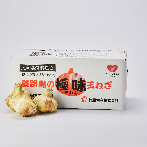 淡路島の極味玉ねぎ 新玉ねぎ 10kg【兵庫県南あわじ産】