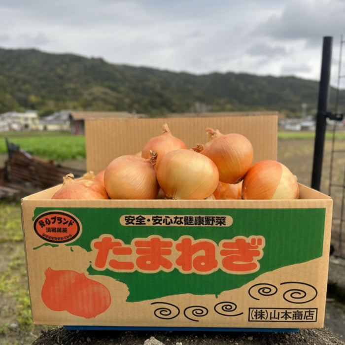 《訳あり》こだわりの淡路島玉ねぎ 糖度は果物級！甘くてジューシーな極上たまねぎ10kg【兵庫県南あわじ産】