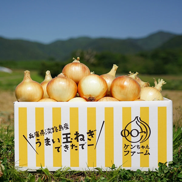 ひょうご安心ブランド認証　淡路島たまねぎ　10kg【兵庫県淡路島産】