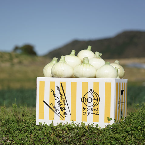 《予約販売 / 3月下旬発送予定》ひょうご安心ブランド認証　淡路島新たまねぎ　5kg【兵庫県淡路島産】