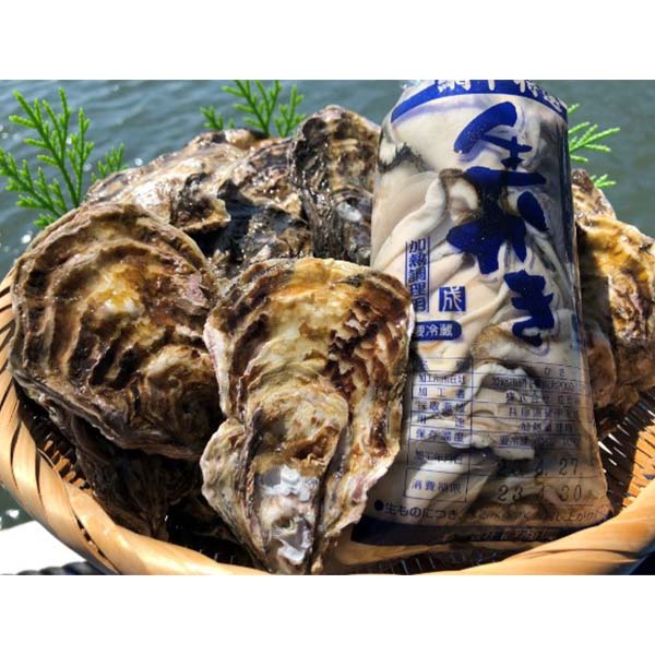 山の恵みと海の香りが織りなす極上の味わい！むき身0.5kg 殻付き真牡蠣 2kg　牡蛎ナイフ＆軍手付【兵庫県播磨灘産】