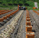 淡路島 五斗長新玉ねぎ【兵庫県淡路市】