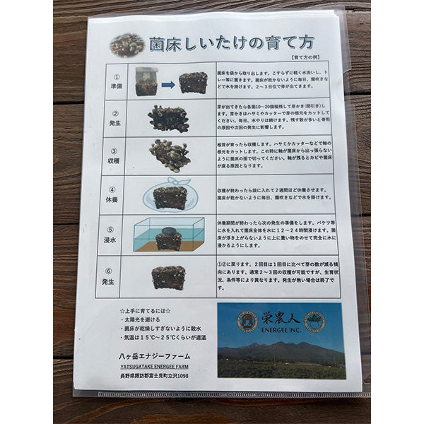 《純国産》ご自宅で採れたて椎茸狩り 椎茸栽培菌床【長野県中野産】