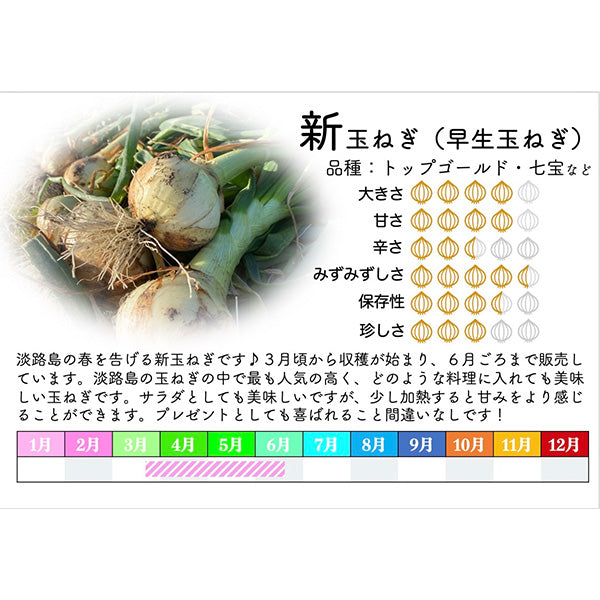 K.ファーム厳選！淡路島『歩』新玉ねぎ　3kg【兵庫県淡路島産】