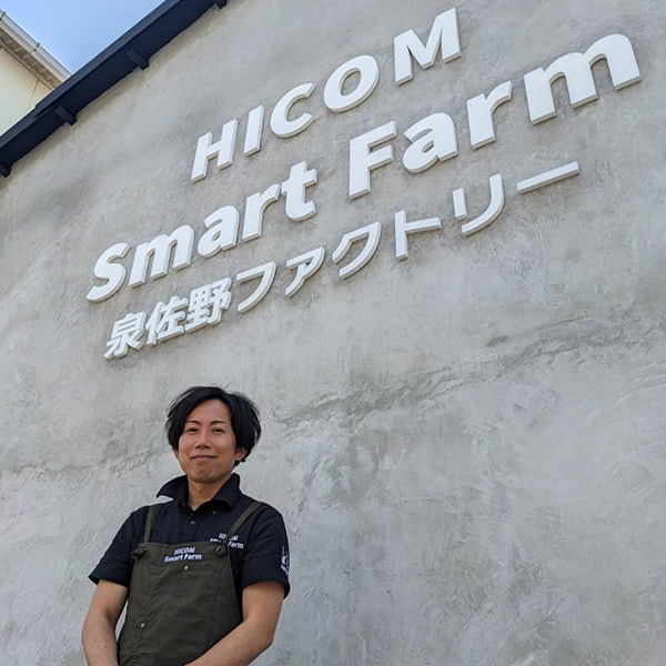 美食の演出エディブルフラワー　SANOKA ビオラ オーシャンブルー【大阪府泉佐野産】