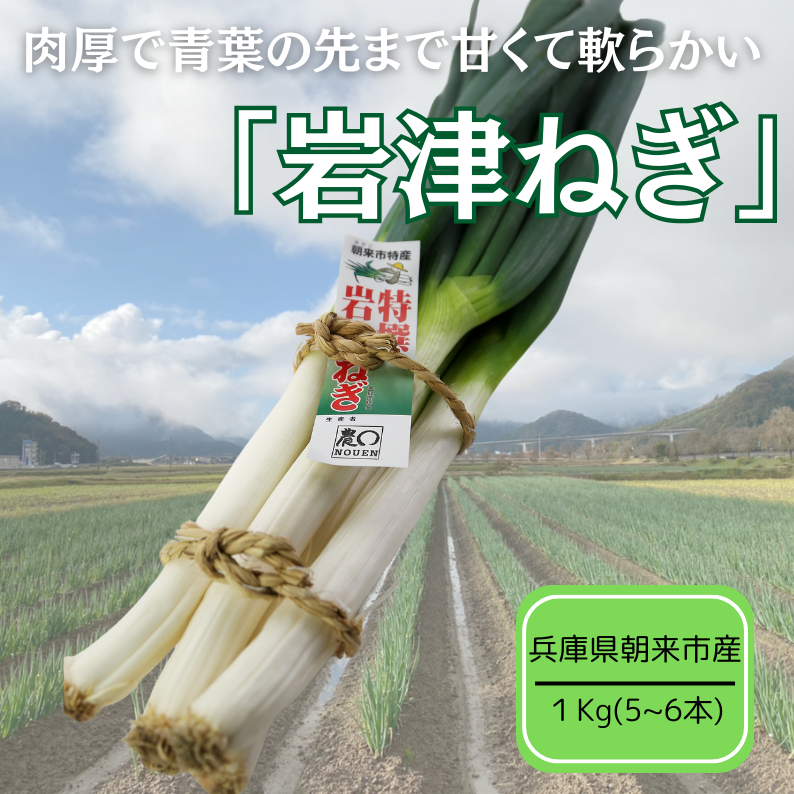 11/23解禁》肉厚で甘くて軟らかい岩津ねぎ 1kg【兵庫県朝来産】農産物