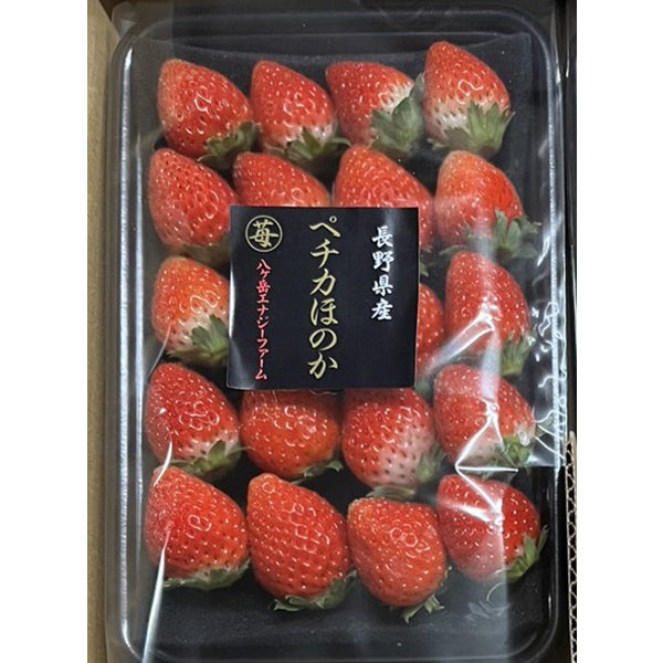 甘みと香りが強く、みずみずしいイチゴ ペチカほのか 200g×4【長野県