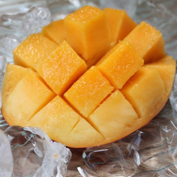 とろける南国のご褒美 完熟マンゴー 400g×2玉入り【鹿児島県産】　