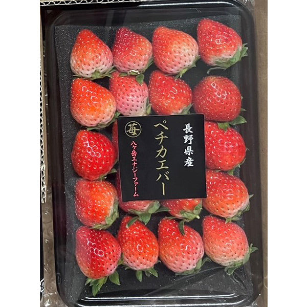 しっかりとした酸味の夏いちご ペチカエバー 200g×4【長野県富士見産